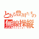 とある豊川たまの無線操縦車（ラジコンカー）