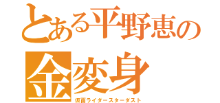 とある平野恵の金変身（仮面ライダースターダスト）