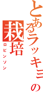 とあるラッキョの栽培（ロビンソン）