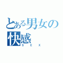 とある男女の快感（ＳＥＸ）