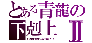 とある青龍の下剋上Ⅱ（影の実力者になりたくて）