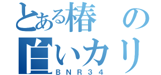 とある椿の白いカリスマ（ＢＮＲ３４）