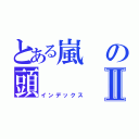 とある嵐の頭Ⅱ（インデックス）