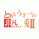 とあるうさっぷの非凡　兎Ⅱ（明日死ぬよ？）