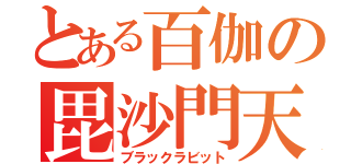 とある百伽の毘沙門天（ブラックラビット）