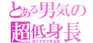 とある男気の超低身長（カックカクするぜ）