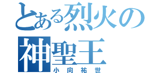 とある烈火の神聖王（小向祐世）