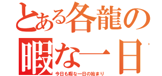 とある各龍の暇な一日（今日も暇な一日の始まり）