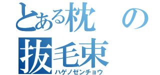 とある枕の抜毛束（ハゲノゼンチョウ）