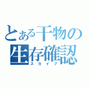 とある干物の生存確認（スカイプ）