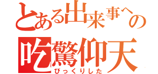 とある出来事への吃驚仰天（びっくりした）