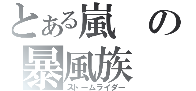 とある嵐の暴風族（ストームライダー）