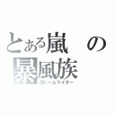 とある嵐の暴風族（ストームライダー）