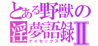 とある野獣の淫夢語録Ⅱ（ゲイセックス）