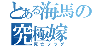 とある海馬の究極嫁（死亡フラグ）