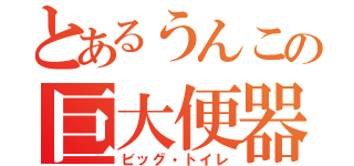 とあるうんこの巨大便器（ビッグ・トイレ）