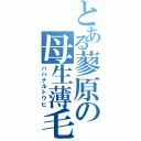 とある蓼原の母生薄毛（ハハナルトウヒ）