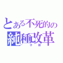 とある不死的の純種改革者（傻子那）