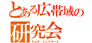 とある広帯域の研究会（キムチ・シンジケート）