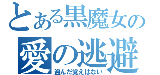 とある黒魔女の愛の逃避行（盗んだ覚えはない）