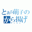 とある萌子のから揚げ（やったぁ）