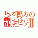 とある鴨方のかませ少年Ⅱ（かまとんてぃー）