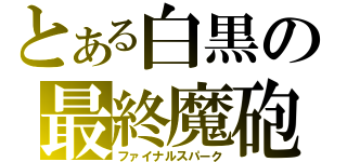 とある白黒の最終魔砲（ファイナルスパーク）