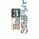 とある地震の３週間（ストップタイム）