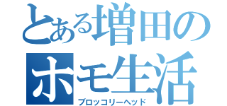 とある増田のホモ生活（ブロッコリーヘッド）