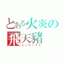 とある火炎の飛天豬（インデックス）