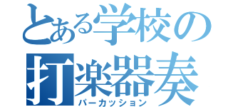 とある学校の打楽器奏者（パーカッション）