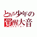 とある少年の覚醒大音（スピーカー）