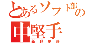 とあるソフト部の中堅手（新野夢芽）