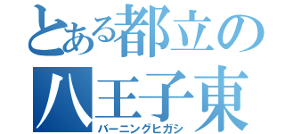 とある都立の八王子東（バーニングヒガシ）