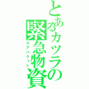 とあるカツラの緊急物資（ケアパケット）