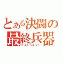 とある決闘の最終兵器（ラストショット）