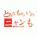 とあるもちもちのニャンもる（魅影＠もちもち団）