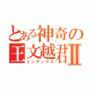 とある神奇の王文越君Ⅱ（インデックス）