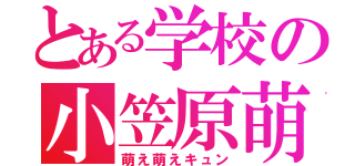 とある学校の小笠原萌（萌え萌えキュン）