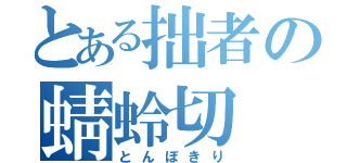 とある拙者の蜻蛉切（とんぼきり）