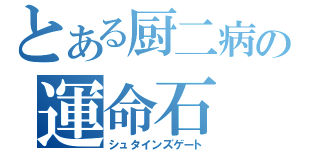 とある厨二病の運命石（シュタインズゲート）