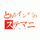 とあるインデックスのステマニ（スキン）