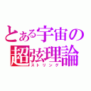 とある宇宙の超弦理論（ストリング）