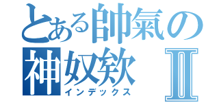 とある帥氣の神奴欸Ⅱ（インデックス）