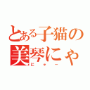 とある子猫の美琴にゃん（にゃー）