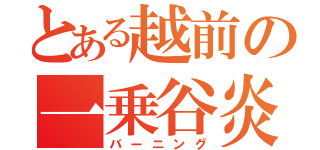 とある越前の一乗谷炎上（バーニング）