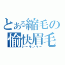 とある縮毛の愉快眉毛（シーモンキー）