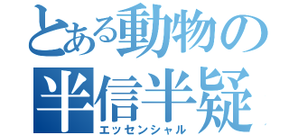 とある動物の半信半疑（エッセンシャル）