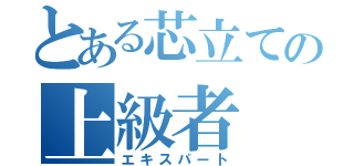 とある芯立ての上級者（エキスパート）