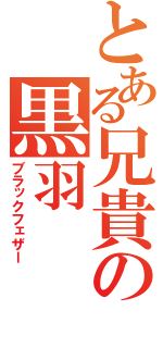 とある兄貴の黒羽（ブラックフェザー）